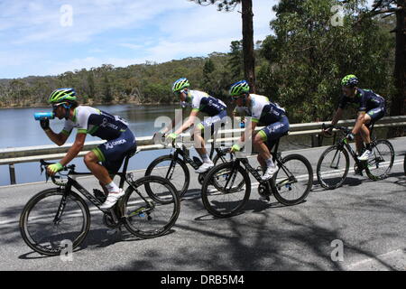 L'Australie du Sud. 23 Jan, 2014. Le chef de l'équipe Orica Greenedge chasing peleton autour des étangs de la chaîne dans l'étape 3 de la Santos Tour Down Under 2014 de Norwood à Campbelltown, Sud de l'Australie le 23 janvier 2014. Crédit : Peter Mundy/Alamy Live News Banque D'Images