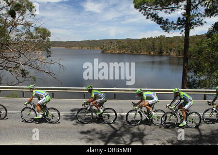 L'Australie du Sud. 23 Jan, 2014. Dans l'Équipe Pro Cannondale peleton chaîne arrondissement d'étangs dans l'étape 3 de la Santos Tour Down Under 2014 de Norwood à Campbelltown, Sud de l'Australie le 23 janvier 2014 Crédit : Peter Mundy/Alamy Live News Banque D'Images