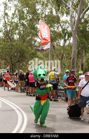 L'Australie du Sud. 23 Jan, 2014. L'équipe BMC et Cadel Evans partisan habillé comme un crocodile australien au roi de la montagne sur la route tire-bouchon dans l'étape 3 du Santos Tour Down Under 2014 de Norwood à Campbelltown, Sud de l'Australie le 23 janvier 2014 Crédit : Peter Mundy/Alamy Live News Banque D'Images