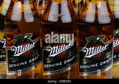 Bouteilles de bière Miller Banque D'Images