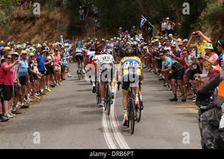 L'Australie du Sud. 23 Jan, 2014. Grande foule cheers manèges de la Roi de la montagne sur la route tire-bouchon dans l'étape 3 du Santos Tour Down Under 2014 de Norwood à Campbelltown, Sud de l'Australie le 23 janvier 2014 Crédit : Peter Mundy/Alamy Live News Banque D'Images