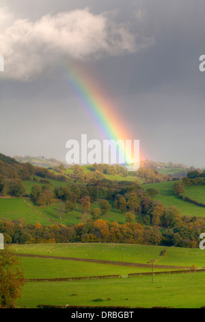 Les nuages de tempête et un arc-en-ciel sur les terres agricoles. Près de Tregynon, Powys, Pays de Galles. Novembre. Banque D'Images