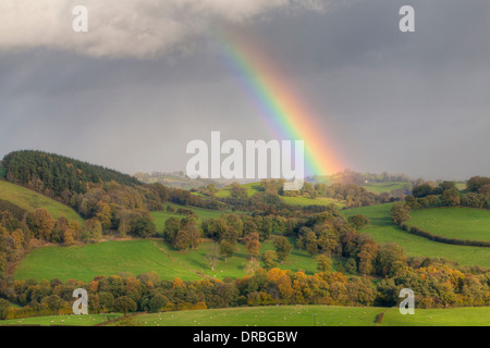 Les nuages de tempête et un arc-en-ciel sur les terres agricoles. Près de Tregynon, Powys, Pays de Galles. Novembre. Banque D'Images