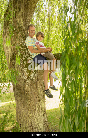 Père et fils assis dans l'arbre Banque D'Images