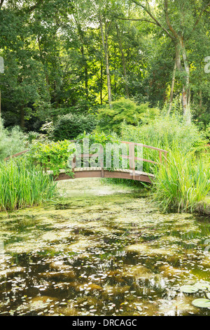 Passerelle en bois sur l'étang Banque D'Images