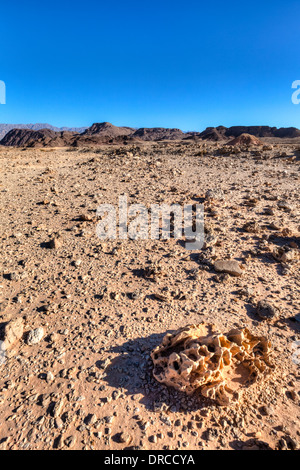 Paysage désertique à Timna Parc National en Israël Banque D'Images