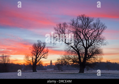 Lever de soleil spectaculaire Grantchester Meadows, Cambridge UK. Banque D'Images