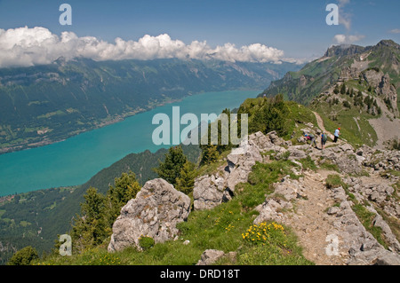 Le lac de Brienz vu de la Schynige Platte Banque D'Images