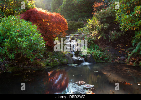 WASHINGTON - La couleur en automne près de pont en plein Cœur de Seattle Jardin Kubota. Banque D'Images