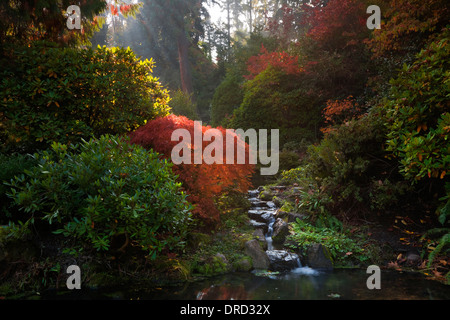 WASHINGTON - La couleur en automne près de pont en plein Cœur de Seattle Jardin Kubota. Banque D'Images