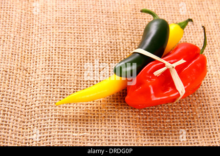 Ensemble de variétés de piments de jute background, Close up Banque D'Images