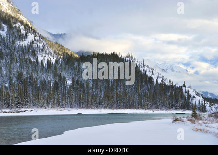 Un paysage d'hiver image le long de la rivière Athabasca dans le parc national Jasper, Alberta, Canada. Banque D'Images