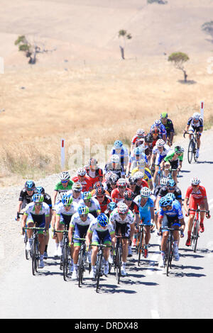 Myponga, Australie du Sud, Australie, le 24 janvier 2014. Riders approche du roi de la montagne arrivée à Myponga dans le Santos Tour Down Under 2014. Banque D'Images