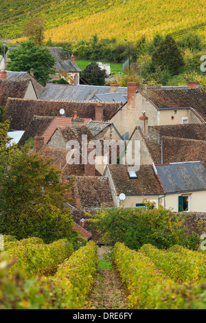 La France, Cher, Sancerre, Chavignol, hameau de maisons dans le village et le vignoble en automne Banque D'Images