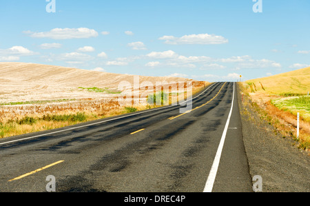 Route de campagne et la Palouse Hills de Whitman comté, État de Washington, USA. Banque D'Images