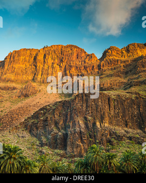 Épaisse séquence de trachyte et coulées de phonolite formant le mur est de Barranco de Fataga, Arteara, Gran Canaria Banque D'Images