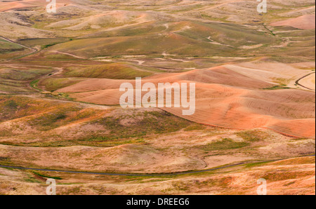 Vue de la Palouse Hills de Whitman comté, État de Washington, USA, vu du haut de Steptoe Butte State Park. Banque D'Images