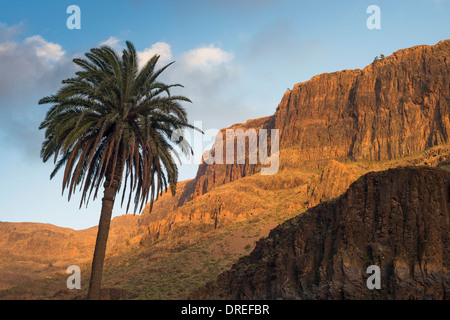 Épaisse séquence de trachyte et coulées de phonolite formant le mur est de Barranco de Fataga, Arteara, Gran Canaria Banque D'Images