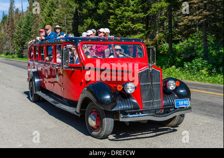 Un 'Jammer',1930 tour bus sur 'Passe-à-le-Sun' Road (1921-1932) construit, Glacier National Park, Montana, USA. Banque D'Images