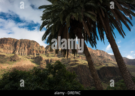 Épaisse séquence de trachyte et coulées de phonolite formant le mur est de Barranco de Fataga, Arteara, Gran Canaria Banque D'Images