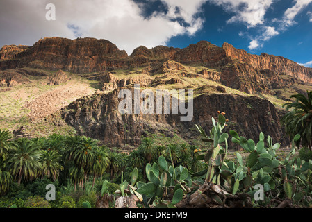 Le village de Arteara encaissée dans le Barranco de Fataga, fortifiée par une épaisse séquence de trachyte et coulées de phonolite Banque D'Images