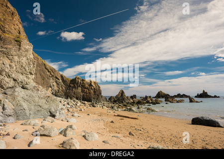 Plié et déformé les shales marins et de l'ordovicien silstones à Kilfarrasy Beach, Copper Coast Geopark, comté de Waterford Banque D'Images