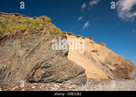 Plié et déformé les shales marins et de l'ordovicien silstones à Kilfarrasy Beach, Copper Coast Geopark, comté de Waterford Banque D'Images