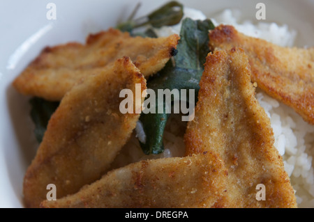 elève avec persico, poisson, nourriture, varenna, lac de côme, italie Banque D'Images