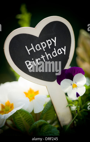 Plante en pot avec 'Happy Birthday' sign Banque D'Images