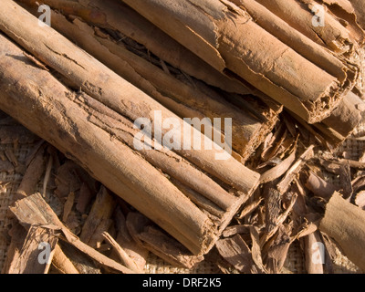Les bâtons de cannelle en close-up Banque D'Images