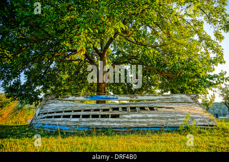 Vieux bateau en bois a besoin d'une réparation. couché sous un arbre en vert gras. Photo prise en HDR Banque D'Images
