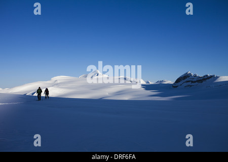 Alberta Canada. Deux skieurs sur pente traverse Wapta, Alberta Canada Banque D'Images