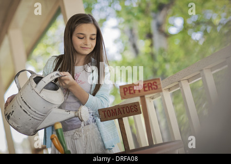 Utah USA enfant pot d'arrosage avec de la tomate et de graines de poivre Banque D'Images