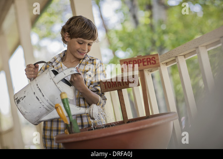 Utah USA enfant pot d'arrosage avec de la tomate et de graines de poivre Banque D'Images