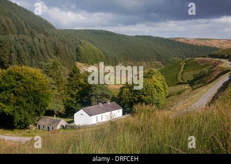 Capel Soar Mynydd y non-conformiste à distance dans la zone de montagne boisée chapelle monts Cambriens Ceredigion Mid Wales UK Banque D'Images