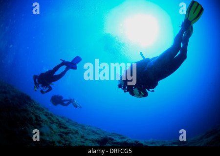 Plongée sous-marine, du soleil, de la mer Adriatique, la Croatie, l'Europe Banque D'Images