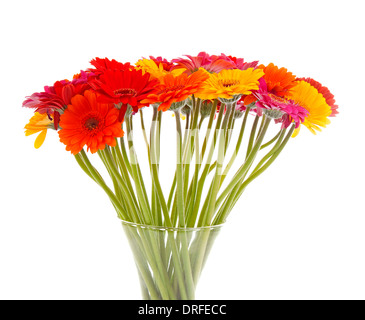 Bouquet de fleurs colorées Gerber en libre Banque D'Images