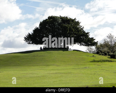 Arbre de chêne sur une colline avec ciel nuageux. Les gens assis sous l'arbre sur un banc. Photo prise au Pays de Galles, Royaume-Uni Banque D'Images