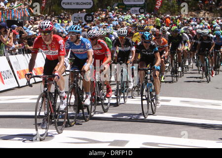 Alan Jaume & fils, de l'Australie. 25 janvier 2014. Peleton après la première montée de l'ancienne colline Alan Jaume & Fils à la poursuite du groupe de sécurité de 4 dans l'étape 5 du Santos Tour Down Under 2014 de McLaren Vale à Alan Jaume & Fils, dans le sud de l'Australie le 25 janvier 2014 Crédit : Peter Mundy/Alamy Live News Banque D'Images