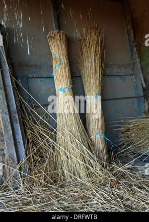 Deux paquets de Norfolk reed dans une grange sur les Norfolk Broads à Ranworth, Norfolk, Angleterre, Royaume-Uni. Banque D'Images