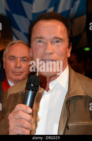 Kitzbuehel, Autriche. 24 Jan, 2014. L'ex-gouverneur et acteur Arnold Schwarzenegger pose la saucisse de veau bavaroise partie dans le Stanglwirt bar près de Kitzbuehel, Autriche, 24 janvier 2014. De nombreuses célébrités sont venus pour la descente à ski autrichien annuel course du Hahnenkamm ski worldfamous dans emplacement. Photo : Felix Hoerhager/dpa/Alamy Live News Banque D'Images