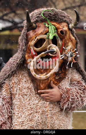 Pernik, Bulgarie - le 25 janvier 2014 : Garçon non identifié avec costume traditionnel Kukeri sont accueillis à l'occasion du Festival International de l'Jeux de la mascarade Surva dans Pernik, Bulgarie. Surva a lieu le dernier week-end de janvier et c'est le plus grand événement de ce genre en Bulgarie. Photo prise le : 25 janvier 2014 Djumailiev djumandji Crédit : Emil/Alamy Live News Banque D'Images