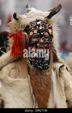 Pernik, Bulgarie - le 25 janvier 2014 : Garçon non identifié avec costume traditionnel Kukeri sont accueillis à l'occasion du Festival International de l'Jeux de la mascarade Surva dans Pernik, Bulgarie. Surva a lieu le dernier week-end de janvier et c'est le plus grand événement de ce genre en Bulgarie. Photo prise le : 25 janvier 2014 Djumailiev djumandji Crédit : Emil/Alamy Live News Banque D'Images