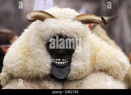 Pernik, Bulgarie - le 25 janvier 2014 : Garçon non identifié avec costume traditionnel Kukeri sont accueillis à l'occasion du Festival International de l'Jeux de la mascarade Surva dans Pernik, Bulgarie. Surva a lieu le dernier week-end de janvier et c'est le plus grand événement de ce genre en Bulgarie. Photo prise le : 25 janvier 2014 Djumailiev djumandji Crédit : Emil/Alamy Live News Banque D'Images