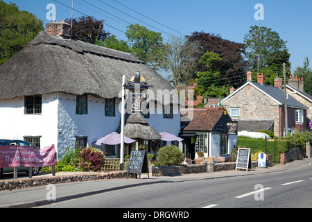 Le Charronnage pub, Colyford, Devon Banque D'Images