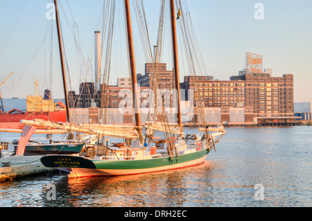 La dame la Maryland à Baltimore Inner Harbor avec l'emblématique usine Sucres Domino dans l'arrière-plan. Banque D'Images