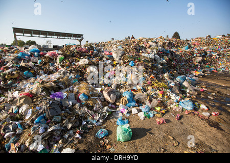 L'alimentation et de tas de déchets domestiques en décharge. Banque D'Images