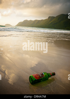 Une vue spectaculaire d'une bouteille d'alcool vietnamien s'est échoué sur une plage de Hai, l'île de Con Son, Îles Con Dao, Vietnam. Banque D'Images