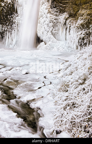 Créer des conditions glaciales d'hiver ces spectaculaires formations de glace à la base de la Prêle Falls dans l'Oregon's Columbia River Gorge Banque D'Images