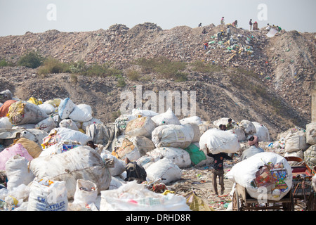 Pickers à un dépotoir à Delhi, Inde Banque D'Images